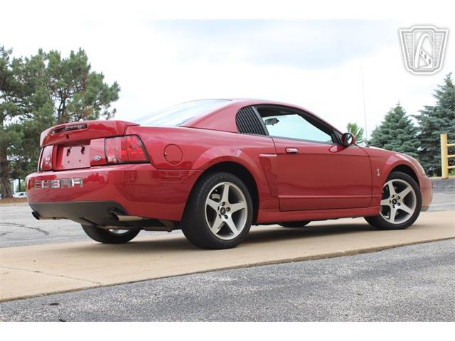 2003 Ford Mustang SVT Cobra (CC-2080614) for sale in Crete, Illinois