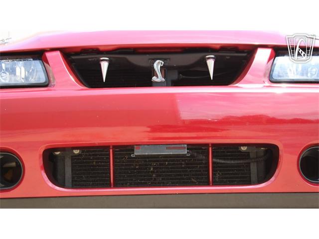 2003 Ford Mustang SVT Cobra (CC-2080614) for sale in Crete, Illinois