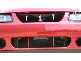 2003 Ford Mustang SVT Cobra (CC-2080614) for sale in Crete, Illinois