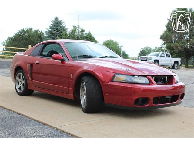 2003 Ford Mustang SVT Cobra (CC-2080614) for sale in Crete, Illinois