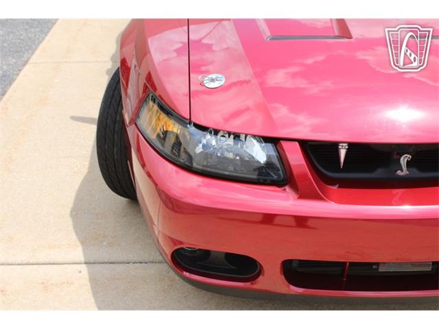 2003 Ford Mustang SVT Cobra (CC-2080614) for sale in Crete, Illinois
