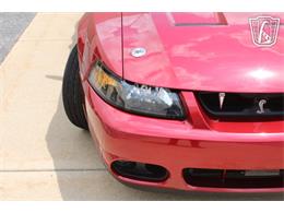 2003 Ford Mustang SVT Cobra (CC-2080614) for sale in Crete, Illinois