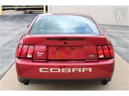 2003 Ford Mustang SVT Cobra (CC-2080614) for sale in Crete, Illinois