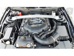 2014 Ford Mustang GT (CC-2080616) for sale in Concord, North Carolina