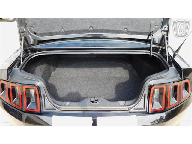 2014 Ford Mustang GT (CC-2080616) for sale in Concord, North Carolina