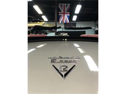 1973 Jaguar E-Type (CC-2086171) for sale in Shelbyville, Tennessee