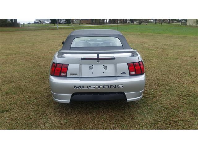 2000 Ford Mustang (Roush) (CC-2086179) for sale in Mill Hall, Pennsylvania