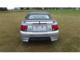2000 Ford Mustang (Roush) (CC-2086179) for sale in Mill Hall, Pennsylvania