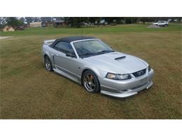 2000 Ford Mustang (Roush) (CC-2086179) for sale in Mill Hall, Pennsylvania