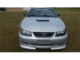 2000 Ford Mustang (Roush) (CC-2086179) for sale in Mill Hall, Pennsylvania