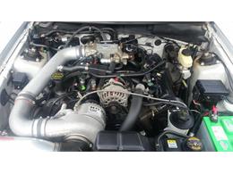 2000 Ford Mustang (Roush) (CC-2086179) for sale in Mill Hall, Pennsylvania