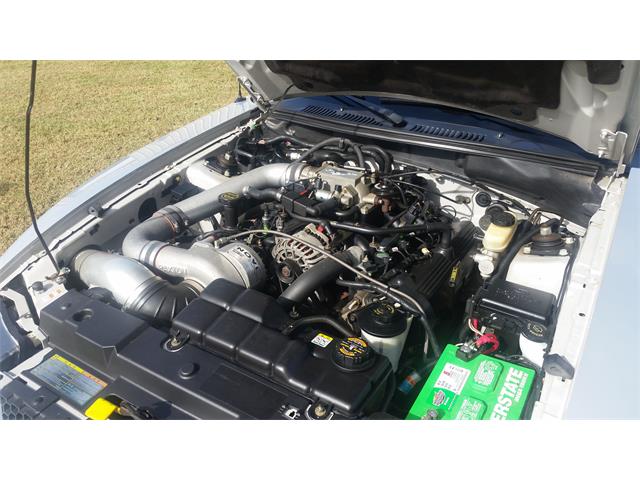 2000 Ford Mustang (Roush) (CC-2086179) for sale in Mill Hall, Pennsylvania