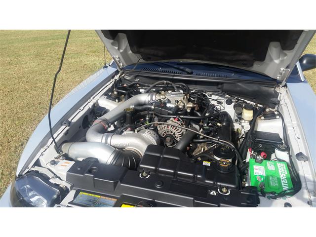 2000 Ford Mustang (Roush) (CC-2086179) for sale in Mill Hall, Pennsylvania