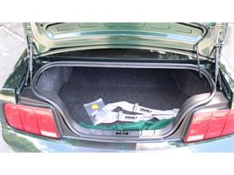2008 Ford Mustang (CC-2080618) for sale in Lake Mary, Florida