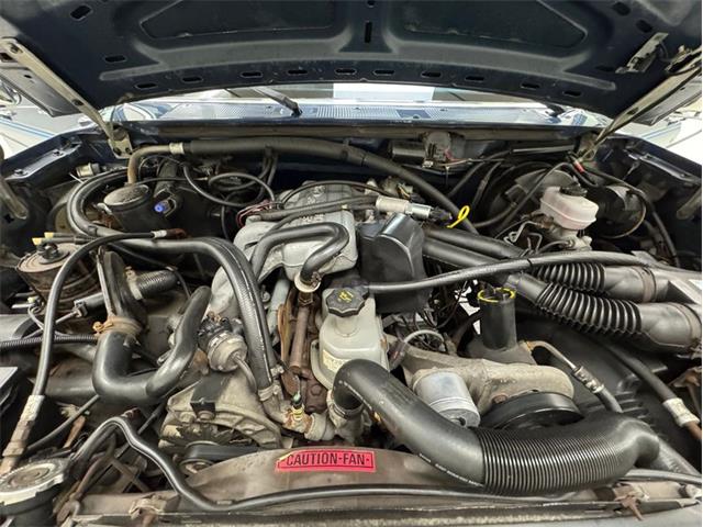 1987 Ford Bronco (CC-2086216) for sale in Morgantown, Pennsylvania