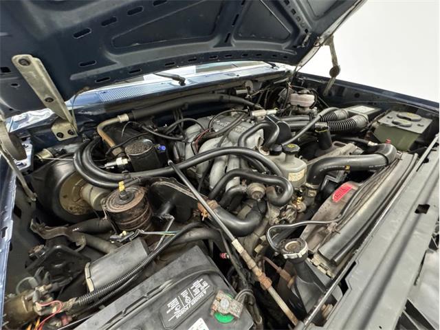 1987 Ford Bronco (CC-2086216) for sale in Morgantown, Pennsylvania