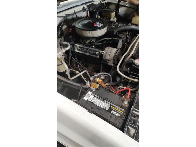 1983 Chevrolet C10 (CC-2086245) for sale in Greensboro, North Carolina
