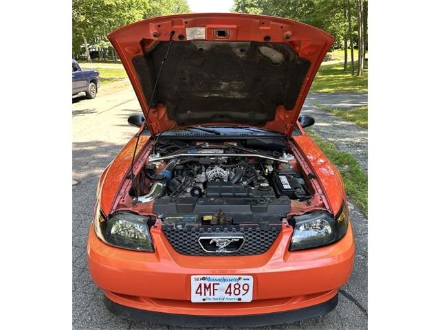 2004 Ford Mustang (CC-2086264) for sale in Hingham, Massachusetts