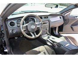 2013 Ford Mustang (CC-2086267) for sale in Sarasota, Florida