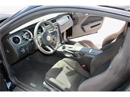 2013 Ford Mustang (CC-2086267) for sale in Sarasota, Florida