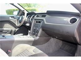 2013 Ford Mustang (CC-2086267) for sale in Sarasota, Florida