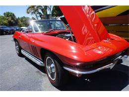 1966 Chevrolet Corvette (CC-2086311) for sale in Lantana, Florida