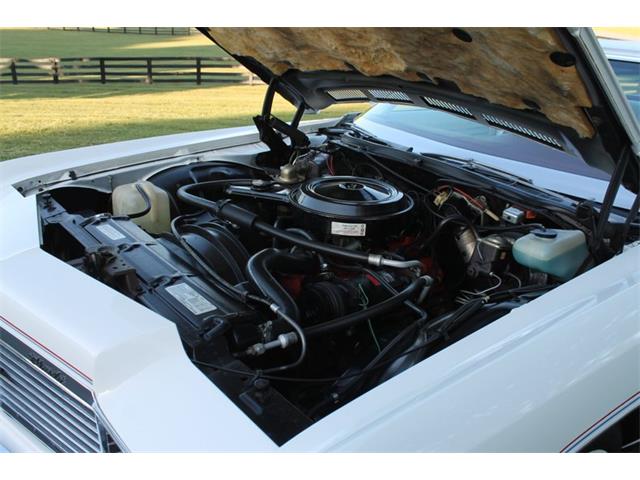 1974 Chevrolet Impala (CC-2086325) for sale in Orlando, Florida