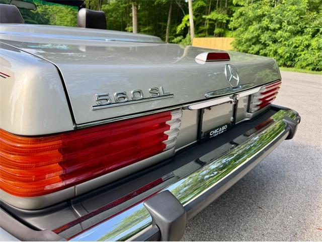 1988 Mercedes-Benz 560SL (CC-2086346) for sale in Saugatuck, Michigan