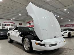 1996 Chevrolet Corvette (CC-2080637) for sale in Dallas, Texas