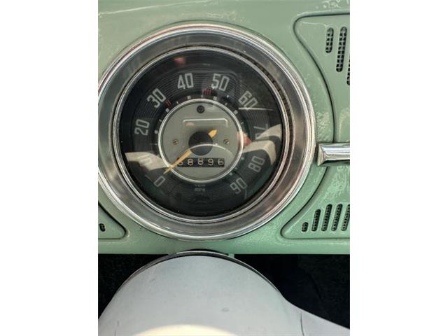 1965 Volkswagen Beetle (CC-2086387) for sale in Spring Branch, Texas