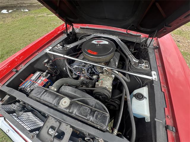 1967 Ford Mustang (CC-2086392) for sale in Cypress, Texas