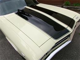 1969 Chevrolet Chevelle (CC-2086397) for sale in Palmer, Massachusetts