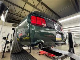 2008 Ford Mustang (CC-2086429) for sale in Morgantown, Pennsylvania