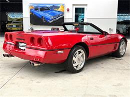 1988 Chevrolet Corvette (CC-2086464) for sale in Bradenton, Florida