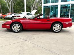1988 Chevrolet Corvette (CC-2086464) for sale in Bradenton, Florida