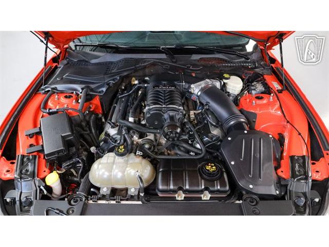 2016 Ford Mustang (CC-2086471) for sale in New Braundfels, Texas