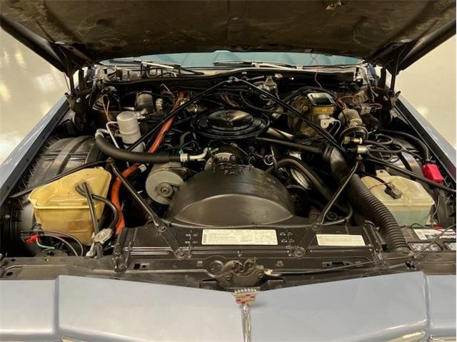 1983 Cadillac DeVille (CC-2086481) for sale in Greensboro, North Carolina