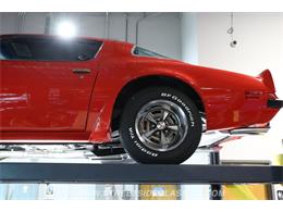 1975 Pontiac Firebird (CC-2086487) for sale in Lutz, Florida
