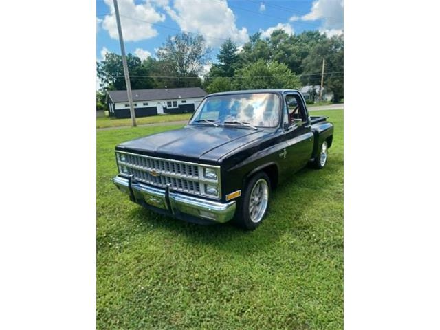 1981 Chevrolet Silverado (CC-2086525) for sale in Cadillac, Michigan