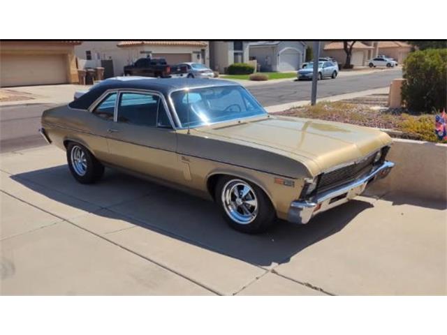 1969 Chevrolet Nova (CC-2086530) for sale in Cadillac, Michigan