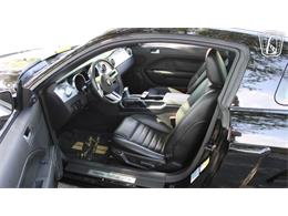 2006 Ford Mustang (CC-2086540) for sale in Lake Mary, Florida