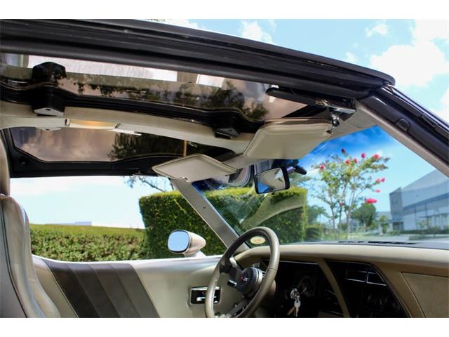 1982 Chevrolet Corvette (CC-2086570) for sale in Sarasota, Florida