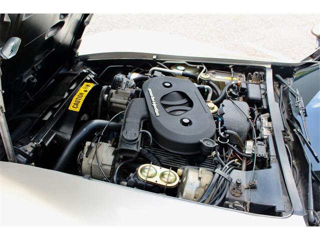 1982 Chevrolet Corvette (CC-2086570) for sale in Sarasota, Florida