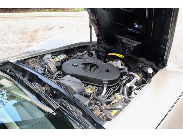 1982 Chevrolet Corvette (CC-2086570) for sale in Sarasota, Florida