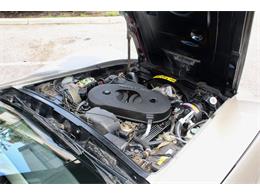 1982 Chevrolet Corvette (CC-2086570) for sale in Sarasota, Florida