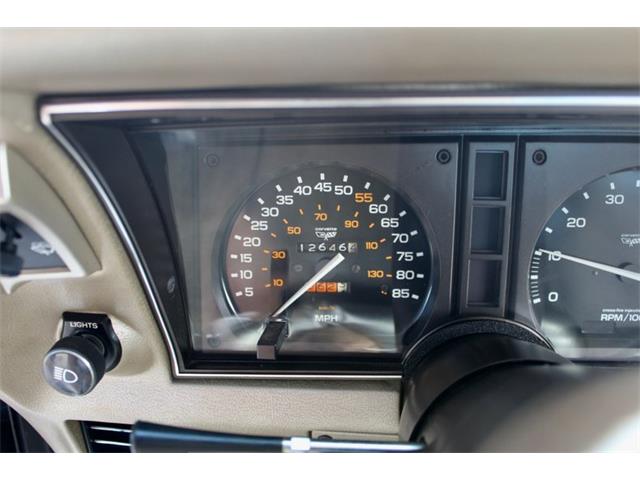 1982 Chevrolet Corvette (CC-2086570) for sale in Sarasota, Florida