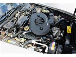 1982 Chevrolet Corvette (CC-2086570) for sale in Sarasota, Florida