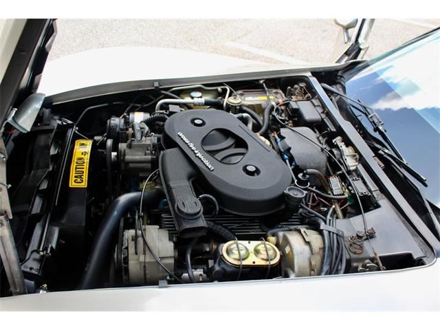 1982 Chevrolet Corvette (CC-2086570) for sale in Sarasota, Florida