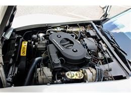 1982 Chevrolet Corvette (CC-2086570) for sale in Sarasota, Florida