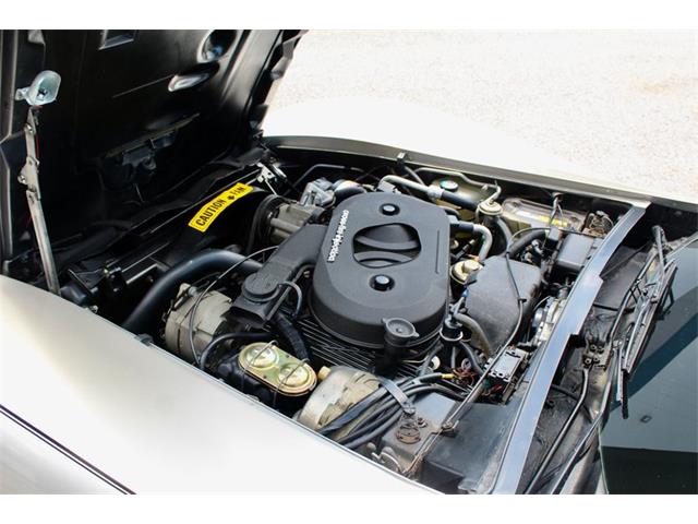 1982 Chevrolet Corvette (CC-2086570) for sale in Sarasota, Florida
